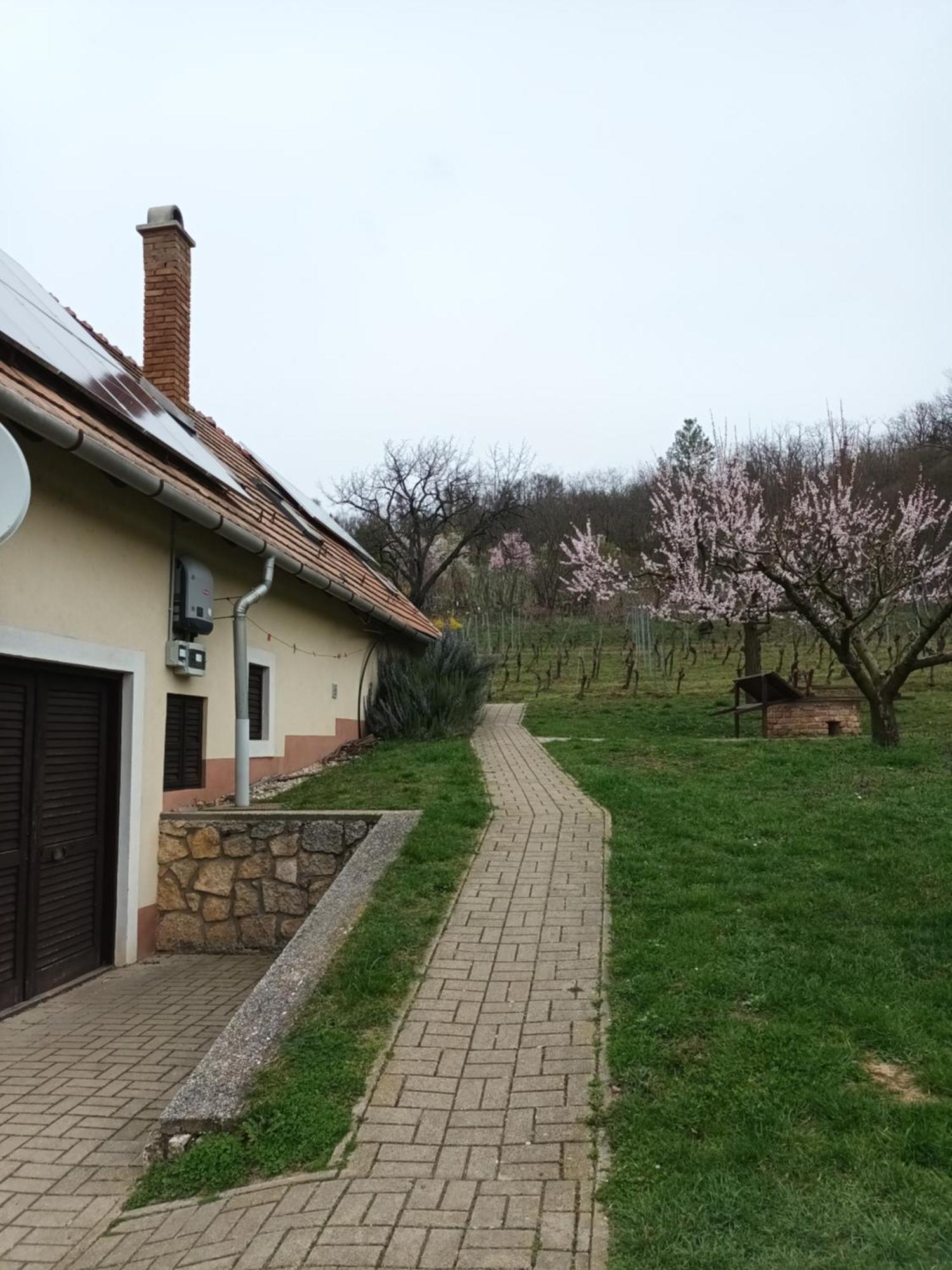 Keknefelejcs Vendeghaz Apartment Tapolca Bagian luar foto